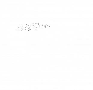 Logo NPGP Transparent